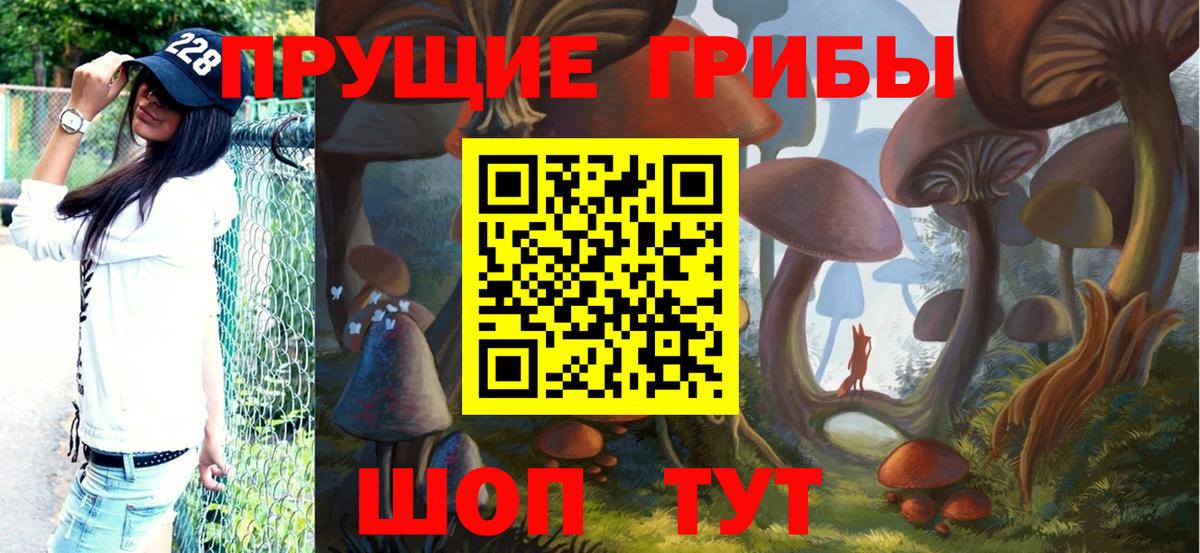 Лесосибирск  Галлюциногенные грибы прущие грибы  Псилоцибиновые грибы мицелий  Вход с VPN 